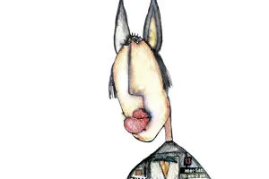 31